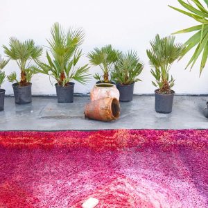 Atelier de lavage écologique spécialisé en tapis Berbère - secret berbere purete
